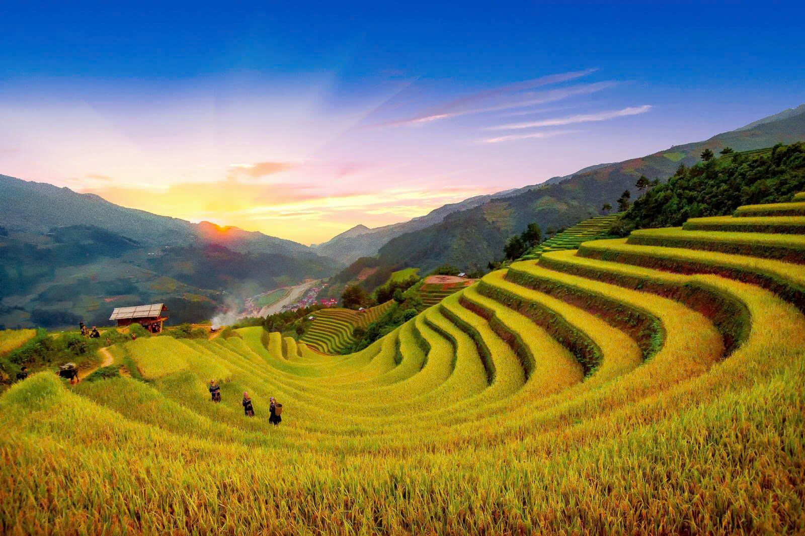 🌿 TẦM NHÌN