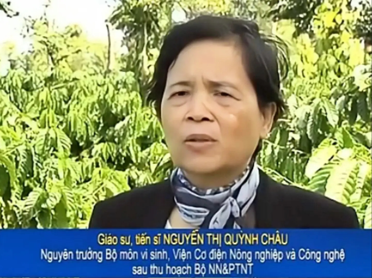 Giới thiệu